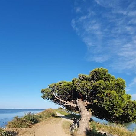 T2 Cosy A La Plage, Terrasse Vue Sur Mer Et Parking Privatif Narbonne Eksteriør bilde
