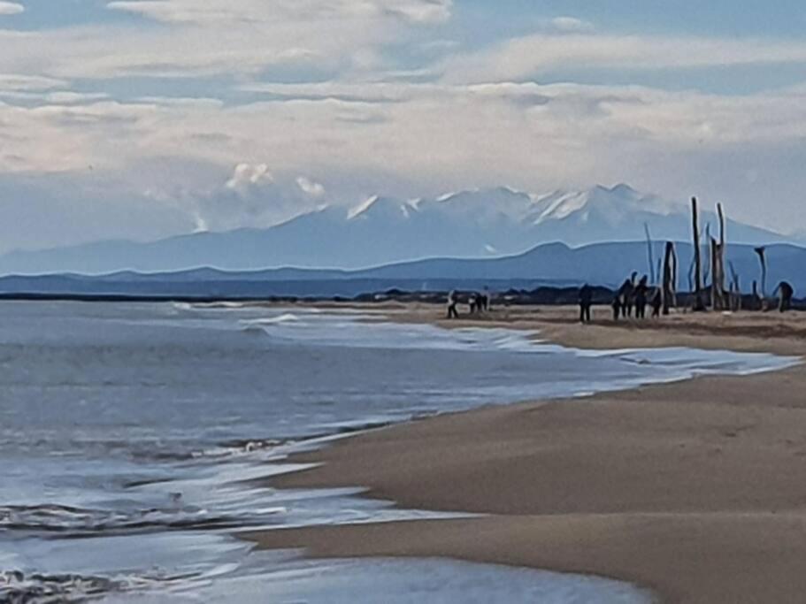 T2 Cosy A La Plage, Terrasse Vue Sur Mer Et Parking Privatif Narbonne Eksteriør bilde