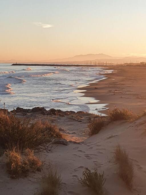 T2 Cosy A La Plage, Terrasse Vue Sur Mer Et Parking Privatif Narbonne Eksteriør bilde